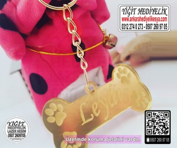 Köpek Künyesi Köpek İsimliği